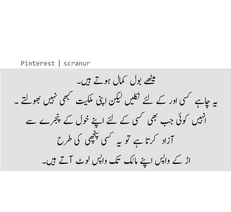 Pin by Lun Phudi on lines | Urdu quotes, Quotes, Math