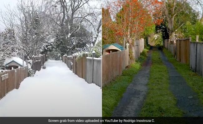 Beautiful Time-Lapse Video Showing All Four Seasons In Canada ...