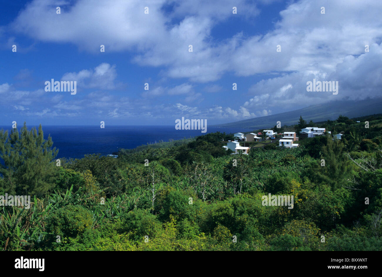 Countryside near Saint Philippe, La Reunion island (France ...