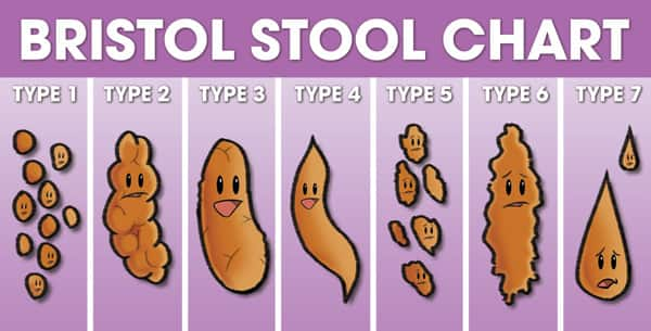 Poop 101 - Steven and Chris