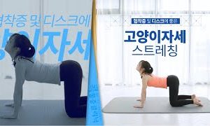 허리협착증이나 허리디스크에 좋은 고양이자세 스트레칭 - YouTube