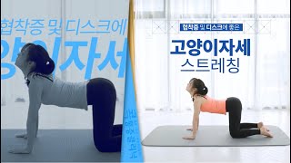 허리협착증이나 허리디스크에 좋은 고양이자세 스트레칭 - YouTube