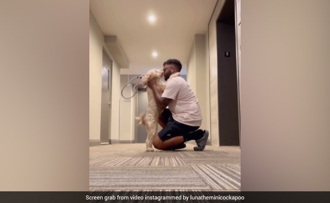 Viral Video: Dog Hugs Owners Everytime They Head Out