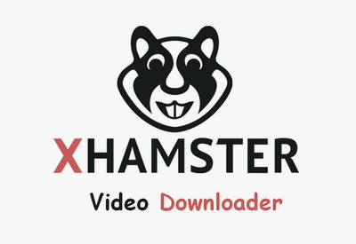 Good Xhamster Downloaders to Download Xhamster Videos Quickly and ...
