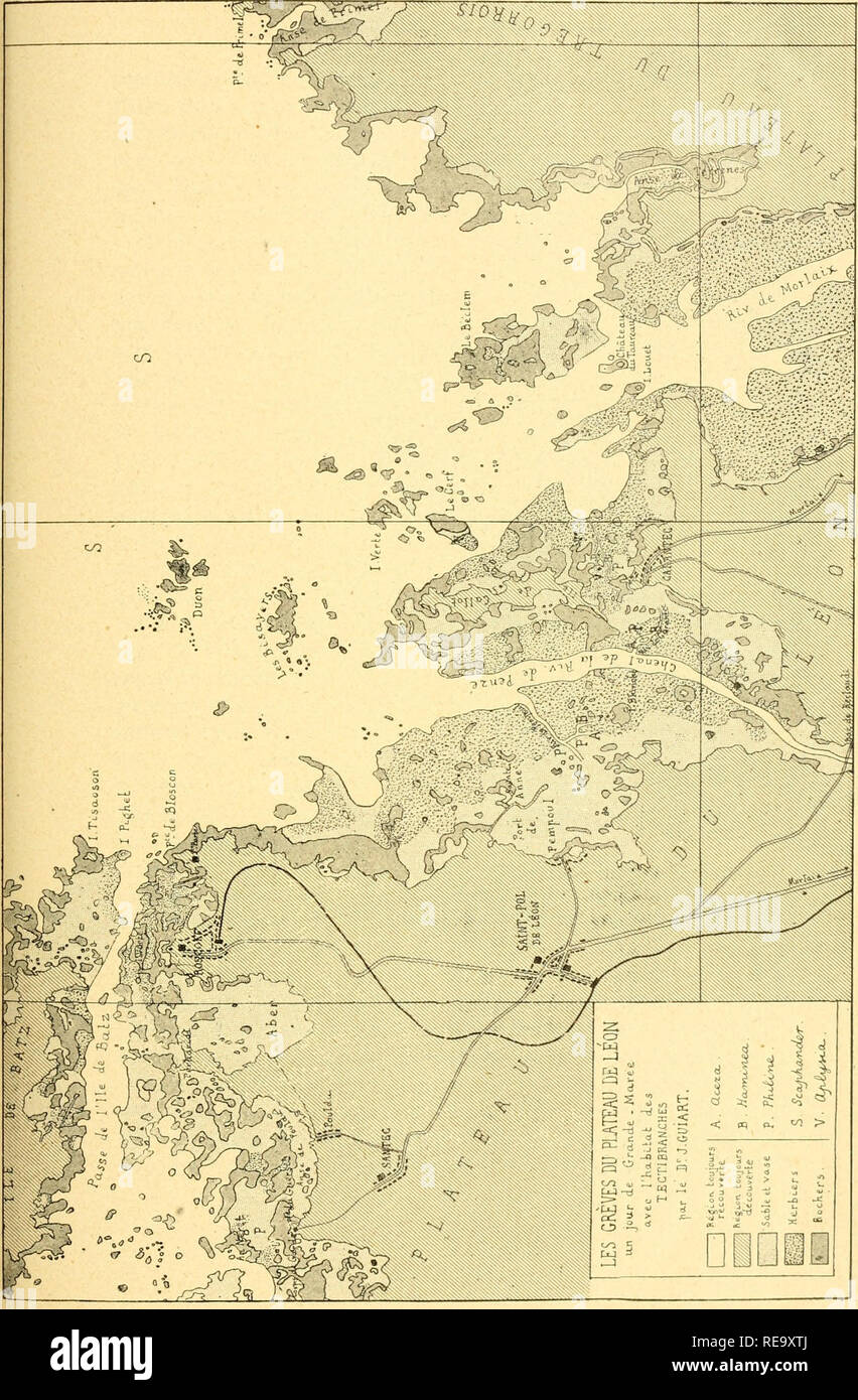 Contribution à l'étude des Gastéropodes, opisthobranches et en ...