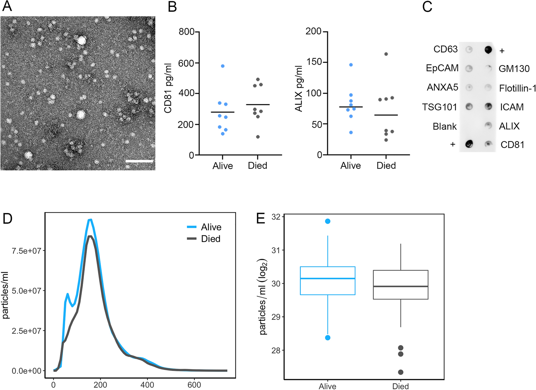 Association of extracellular vesicle inflammatory proteins and ...