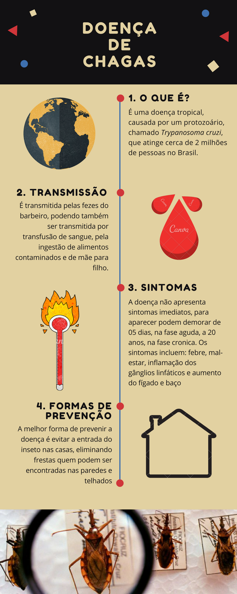 Infográficos- MALÁRIA | by Carla Quijada | BioBlog ESEM | Medium