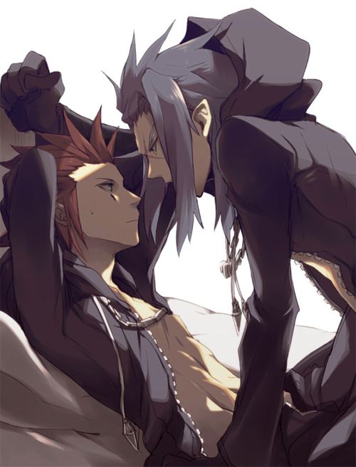 Axel x Saix | Kingdom hearts, Axel kingdom hearts, Kingdom hearts art