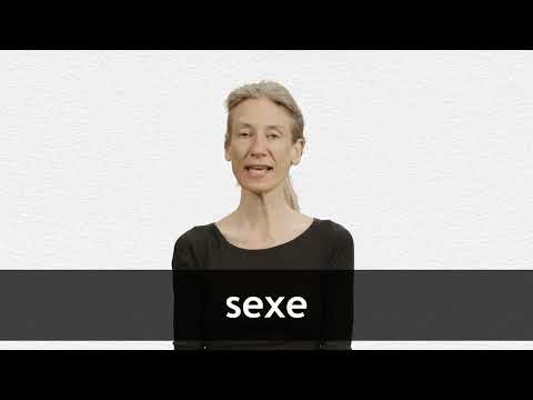 English Translation of “le sexe” | Collins French-English Dictionary