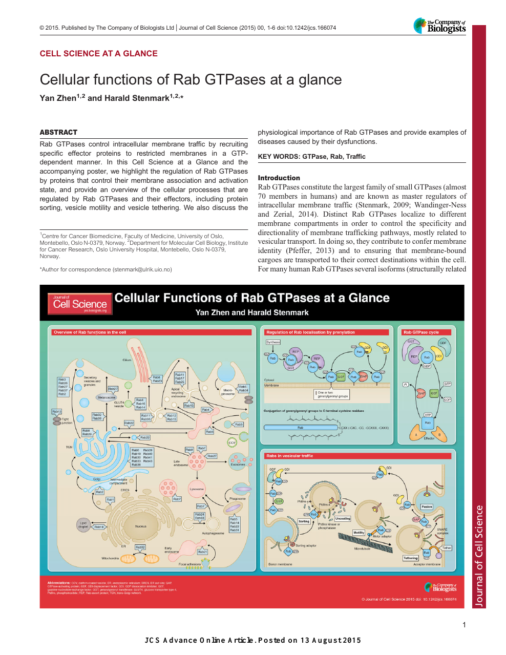 Cellular functions of Rab GTPases at a glance – topic of research ...