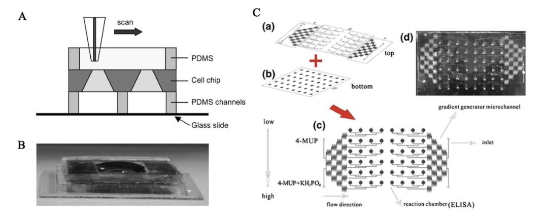 Application of microfluidic chips in anticancer drug screening ...