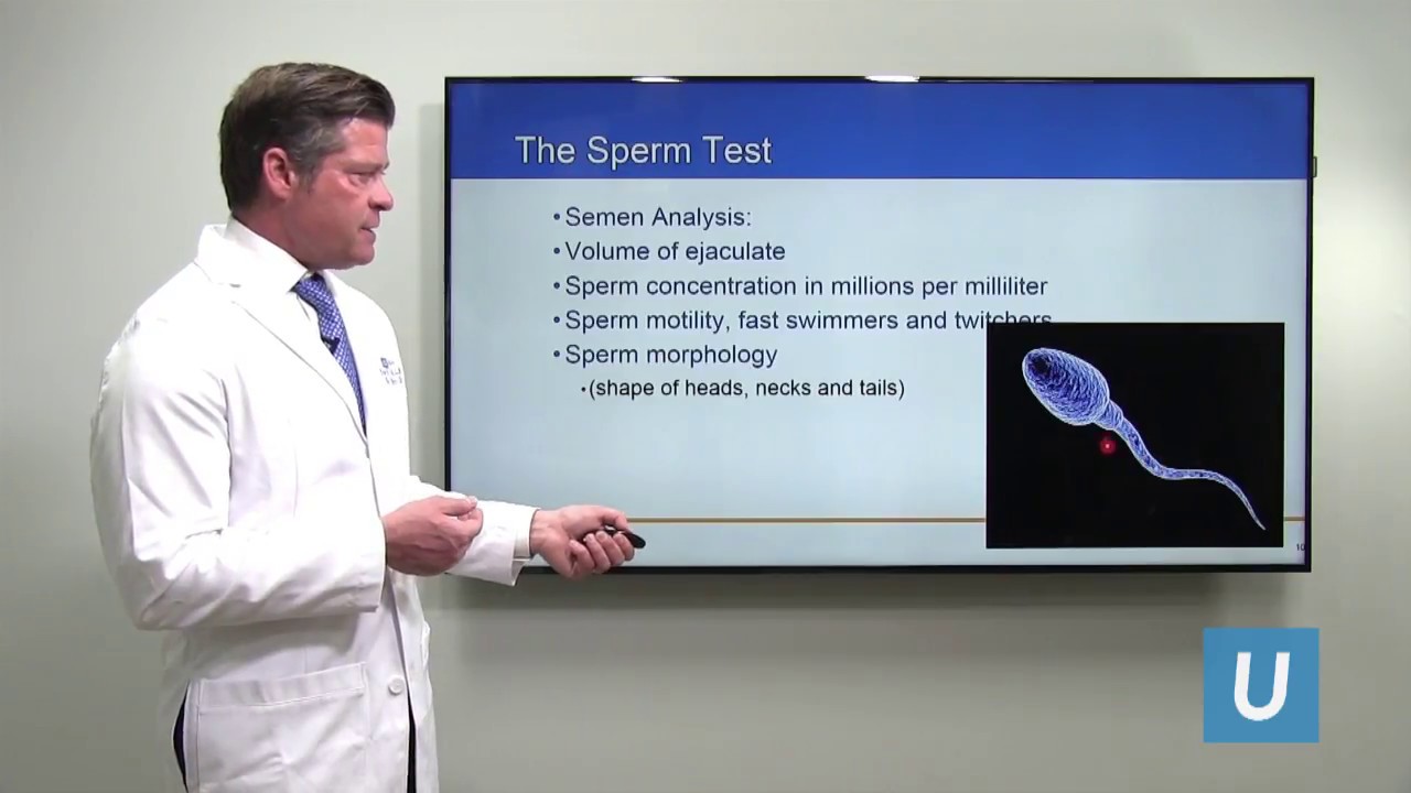 Improving Fertility in Men with Poor Sperm Count | Jesse Mills, MD ...