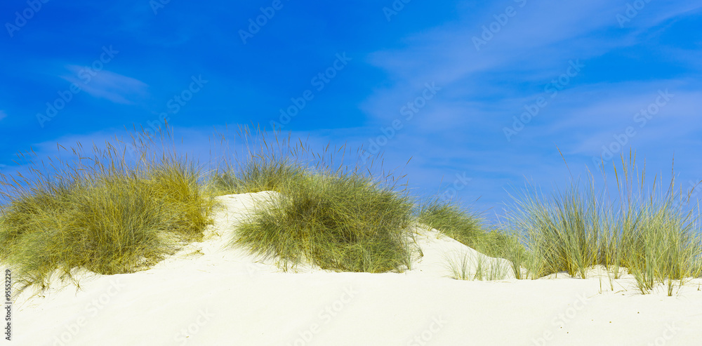 XXX - Sand dune at the beach - 43294334 Stock Photo | Adobe Stock