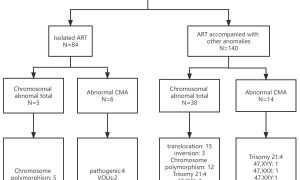 Prenatal diagnosis of fetuses conceived by assisted reproductive ...