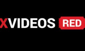 Con éste link pueden descargar videos de Xvideos Red : r/TelegramBots