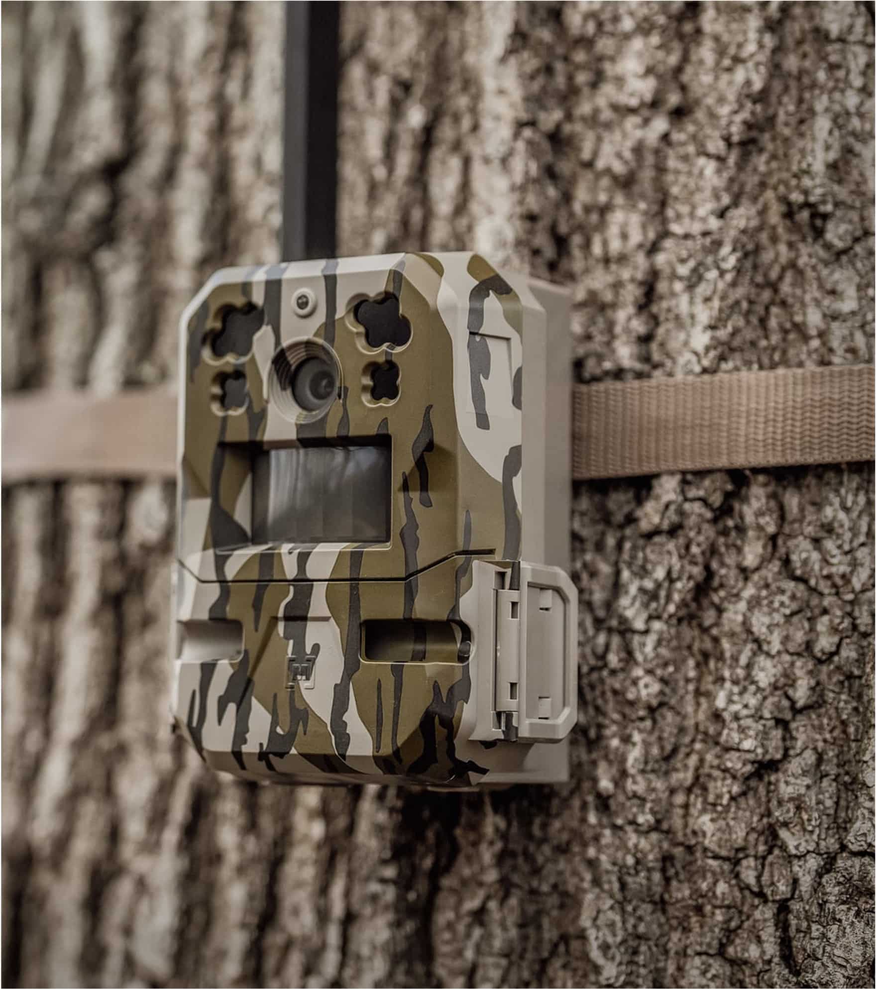 Cellular Trail Cameras & Accessories | Moultrie Mobile