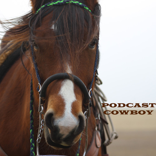 Stream Podcast Cowboy music | Listen to songs, albums, playlists ...