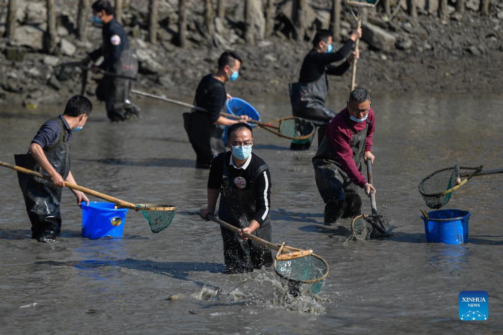 Dredging festival held at Xixi National Wetland Park in Hangzhou ...