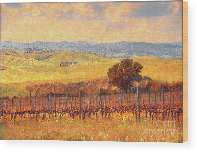 Tuscan landscape with vineyard. Autumn. Wood Print by Elena Dijour ...