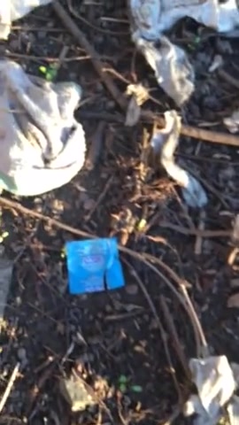 Used Condom Hunting - Forest Sowed Of Used Condoms And His ...