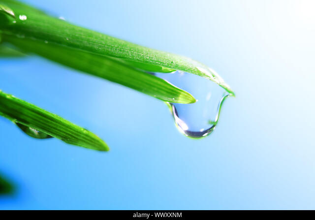 water drop shine in sun light Stock Photo - Alamy