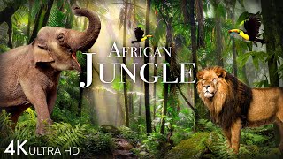 African Jungle 4K - The World's Second-Largest Tropical Rainforest ...