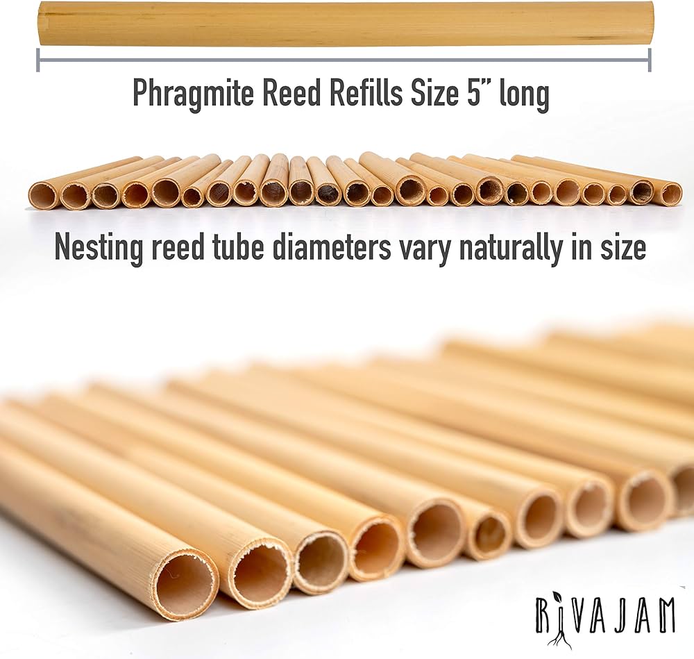 Amazon.com: Rivajam 125 Phragmite Reed Mason Bee Tubes | Refill ...