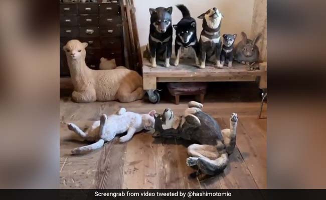 Viral Video: Can You Spot The Real Dog Among Life-Size Wooden ...