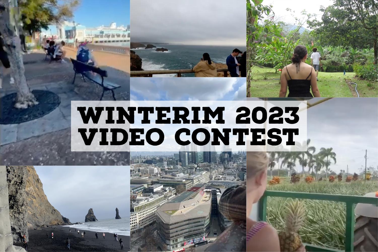 The Gator | Winterim Video Contest: Eight Trips, Six Videos