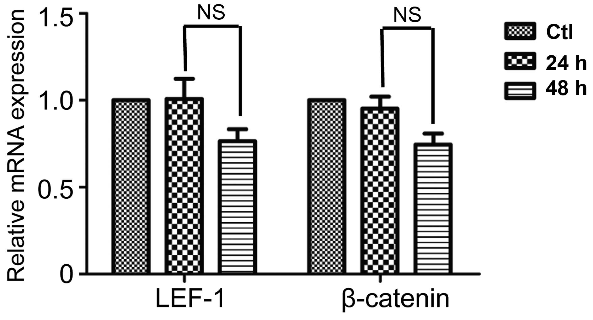 Bruton's tyrosine kinase inhibitor restrains Wnt signaling in ...