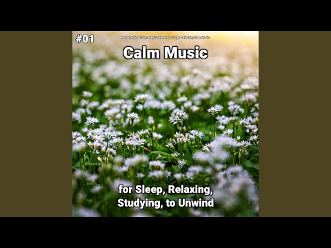 Refreshing Melodies - YouTube