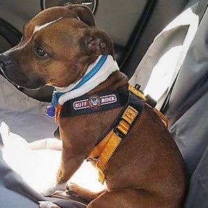 Roadie Canine Harness Archives - Ruff Rider