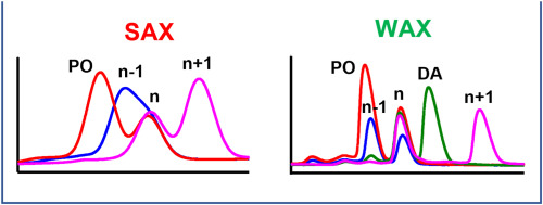 Separation of phosphorothioate oligonucleotide impurities by WAX ...