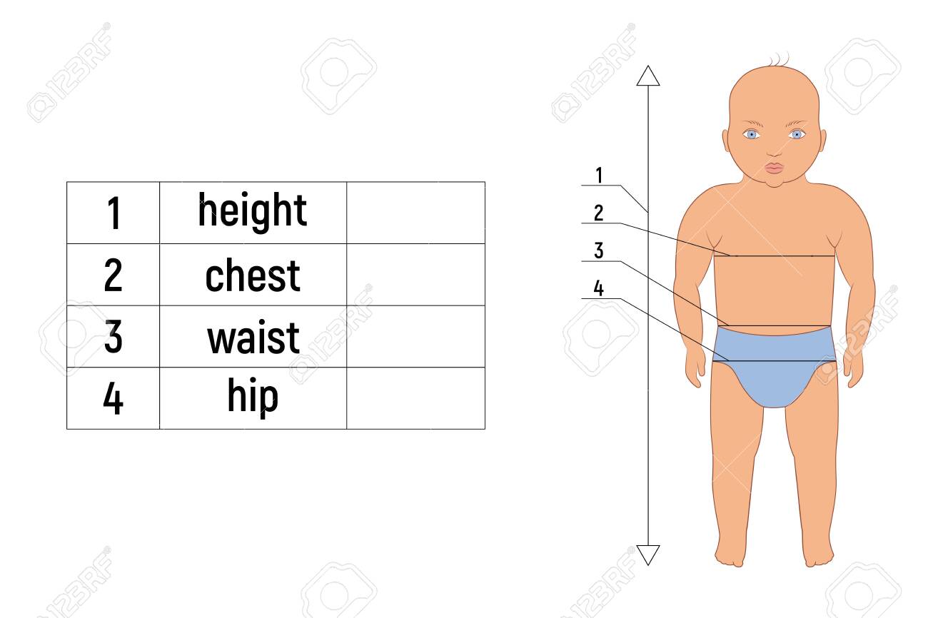 Caucasian Baby Body Measurements For Tailoring And Sewing. Table ...