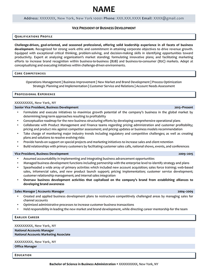 VP of Business Development Resume Example