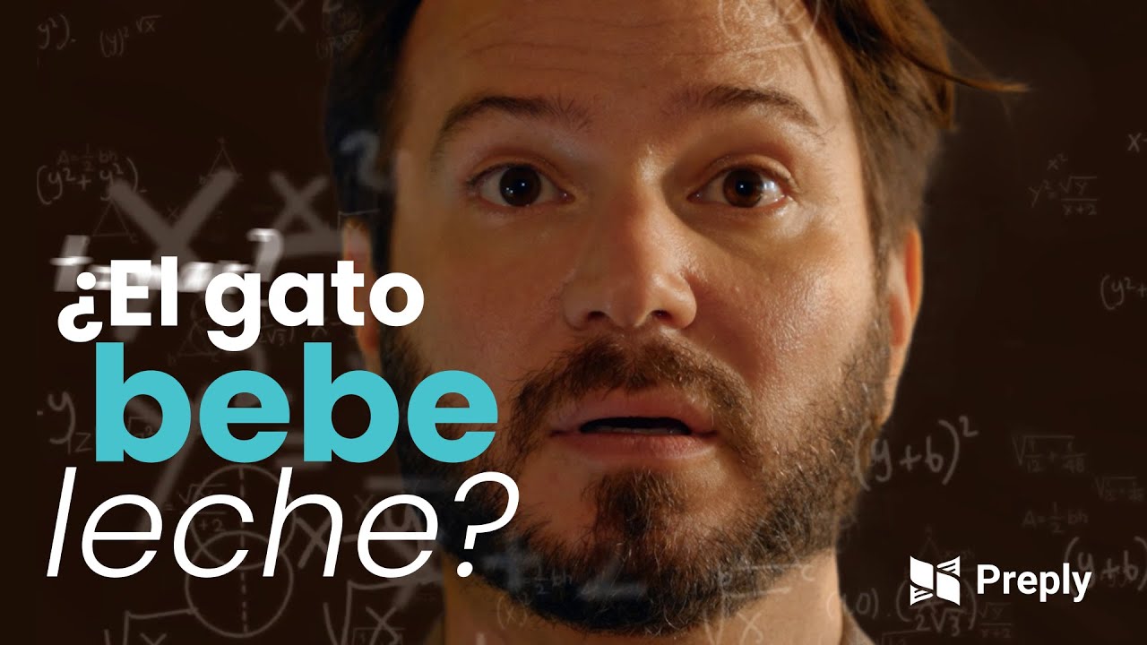 El gato bebe leche? Pt. 1 - YouTube