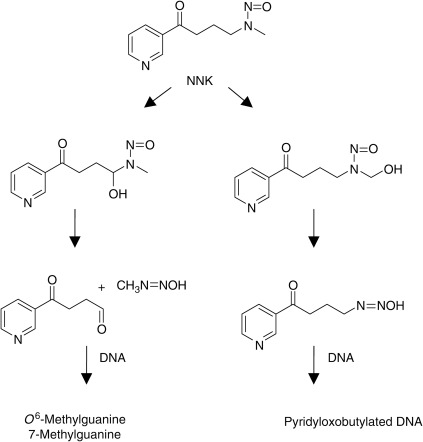 NNK - an overview | ScienceDirect Topics