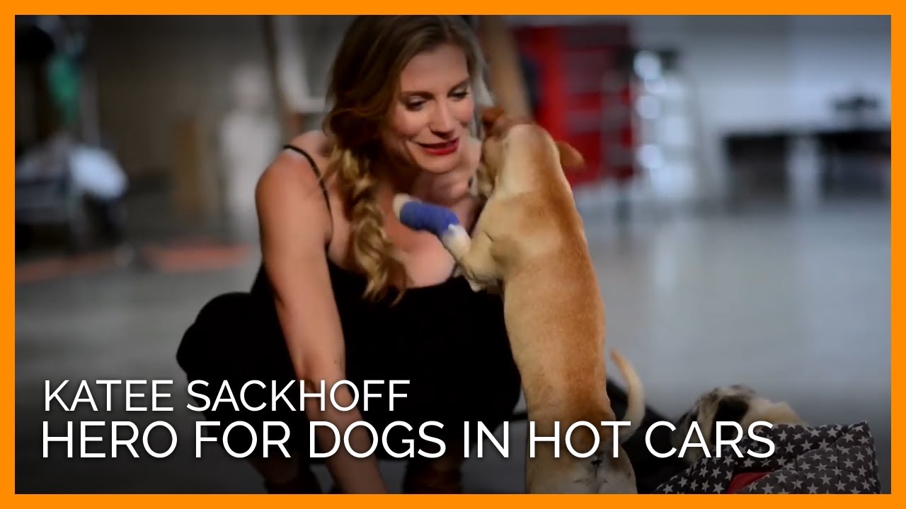 Sexy Katee Sackhoff Is a Hero for Dogs in Hot Cars - YouTube