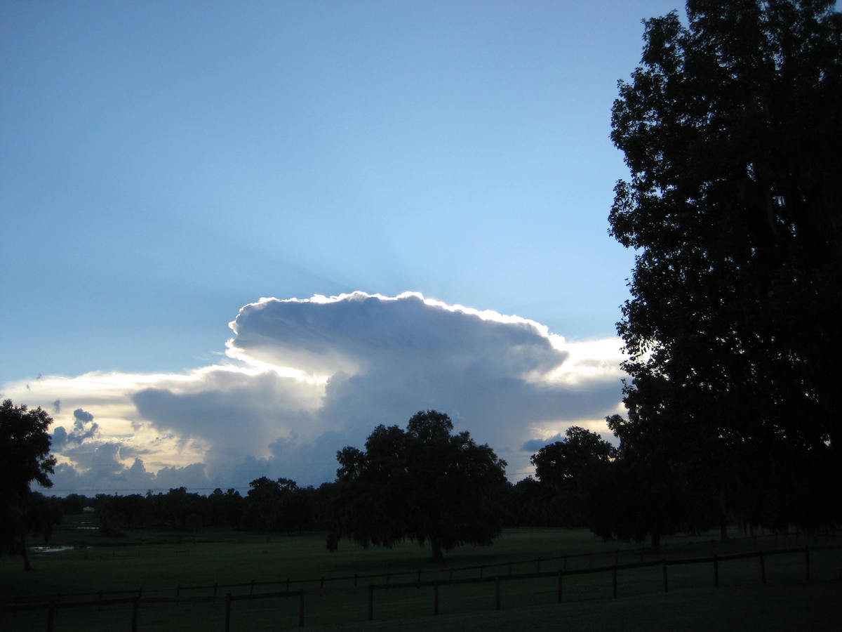 Sun Behind Clouds At Rock Ridge Farm In Reddick - Ocala-News.com