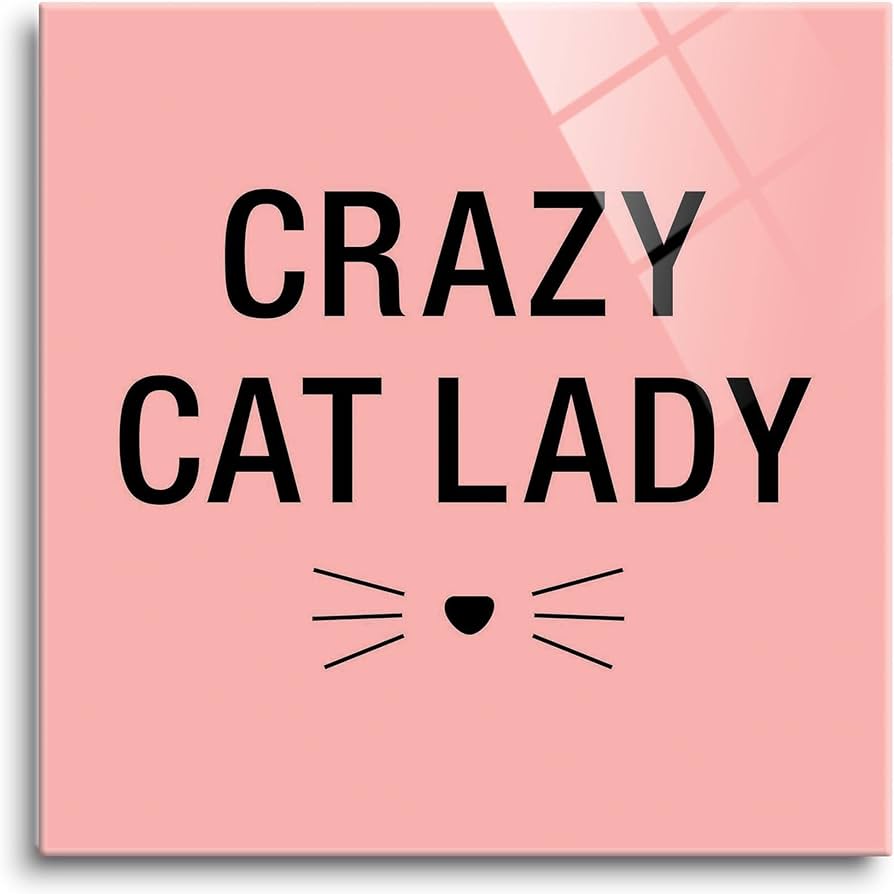 Amazon.com: Crazy Cat Lady, About Face Gifts, Modern Glass Wall ...