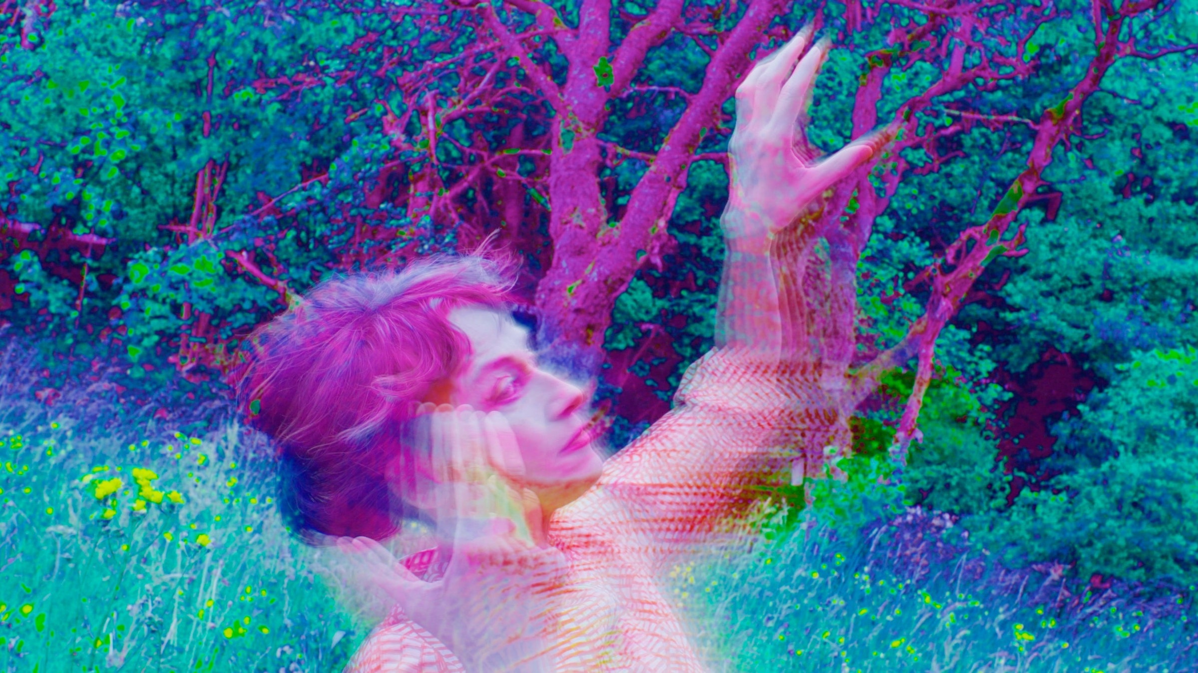 The Colorful Worlds of Pipilotti Rist | The New Yorker