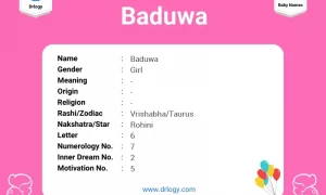 Baduwa Name Meaning, Origin, Numerology & Popularity - Drlogy