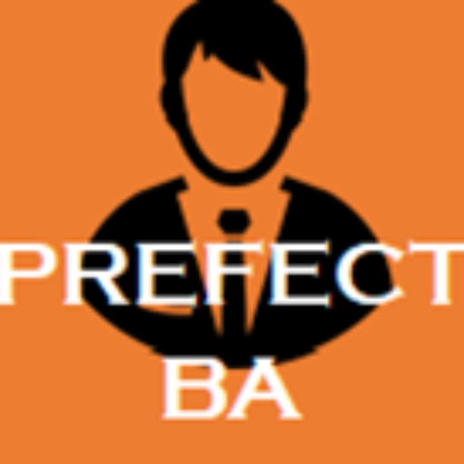 Careers 101: What Does a Business Analyst Do? – PrefectBA