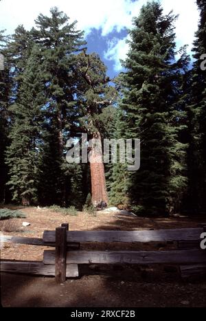 Entrance to yosemite hi-res stock photography and images - Page 6 ...