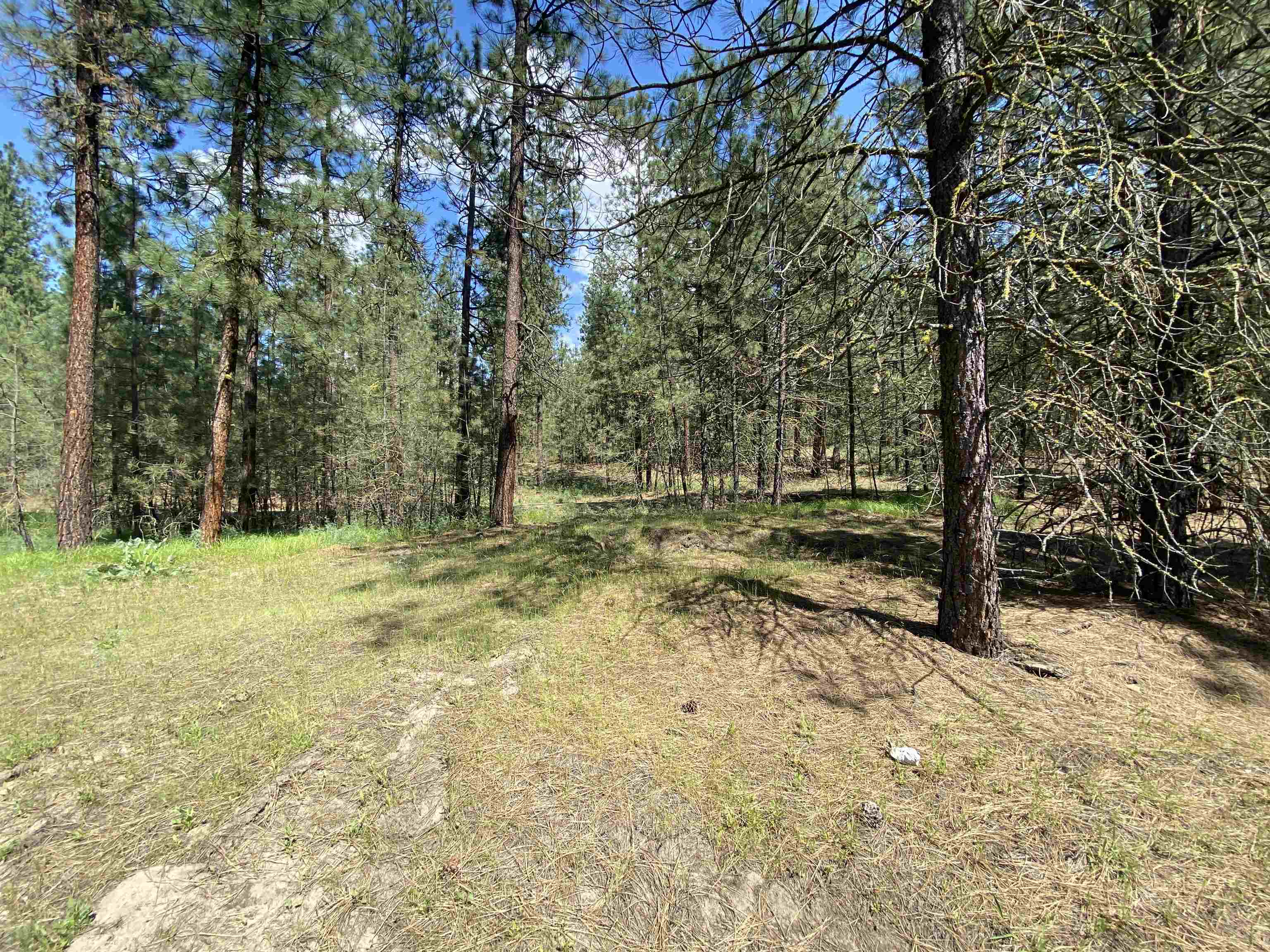 2-xxx 2-xxx Eagle River Way, Kettle Falls, WA 99141 | Compass