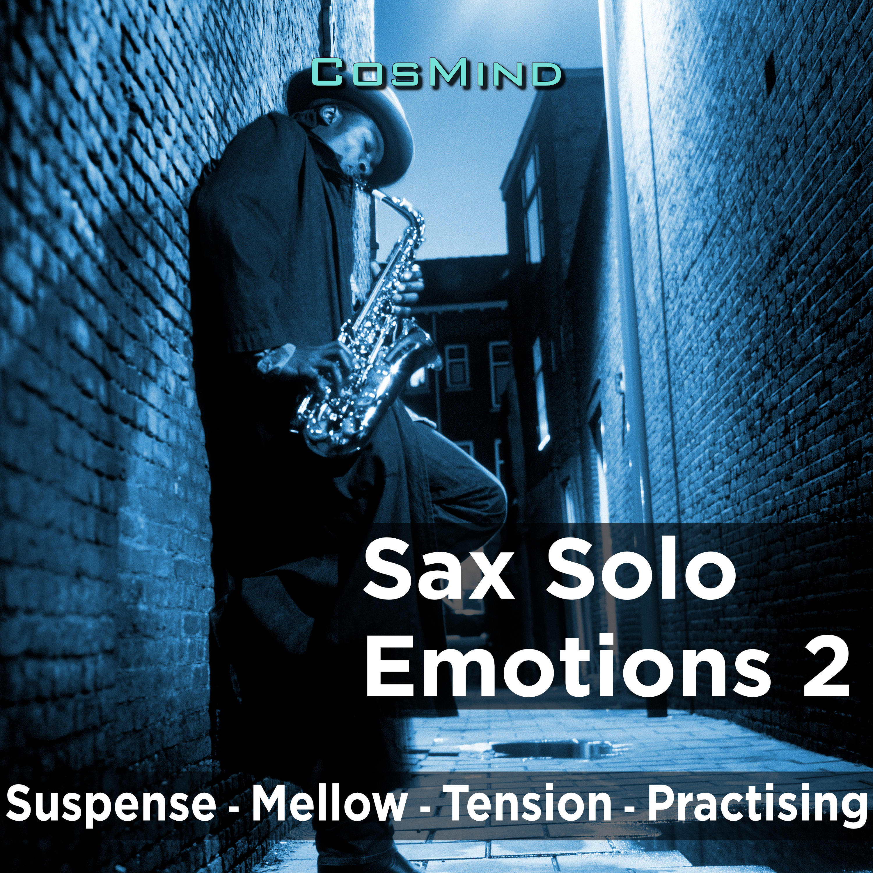 Sax Solo Emotions 2 -Warner Chappell Production Music