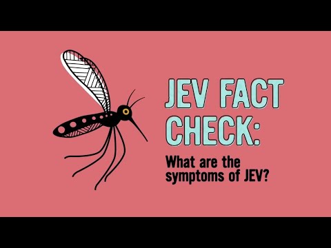 Japanese encephalitis virus (JEV) – What are the symptoms of JEV ...