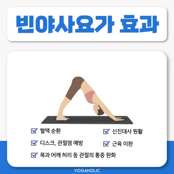 움직이는 명상 빈야사 요가 | 요가홀릭스토리에 오신것을 환영합니다.