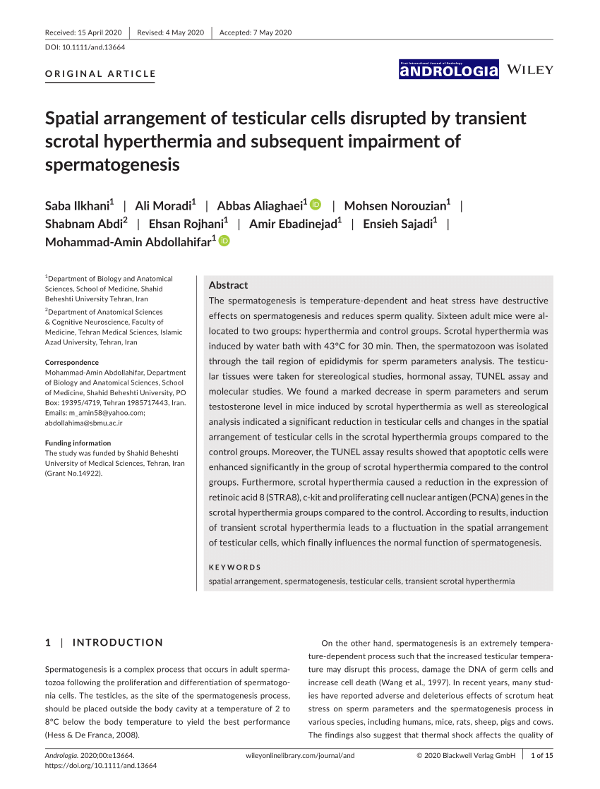 PDF) Spatial arrangement of testicular cells disrupted by ...