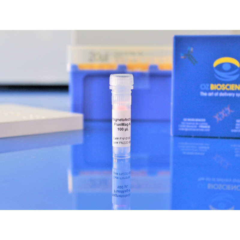 FluoMag Magnetic Transfection reagent OZ Biosciences